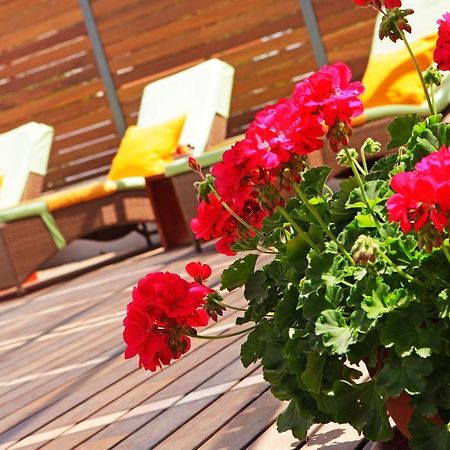 Apartments Diana - New Heated Pool Бол Екстер'єр фото