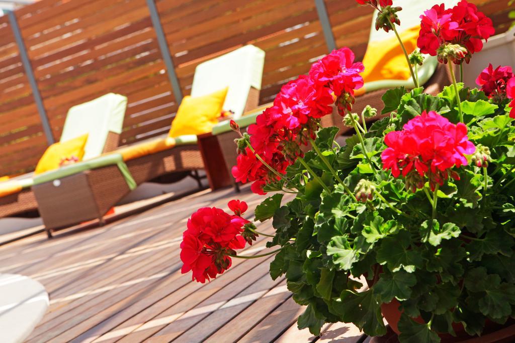 Apartments Diana - New Heated Pool Бол Екстер'єр фото